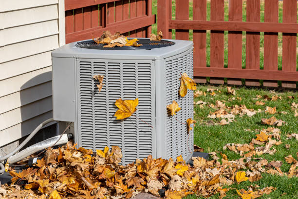 Best HVAC air duct cleaning  in Dorneyville, PA